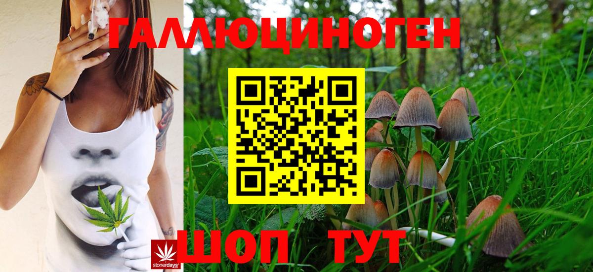 Псилоцибиновые грибы Magic Shrooms  как найти закладки  Ахтубинск  Вход с VPN 